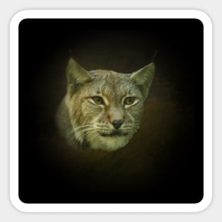 Lynx Sticker